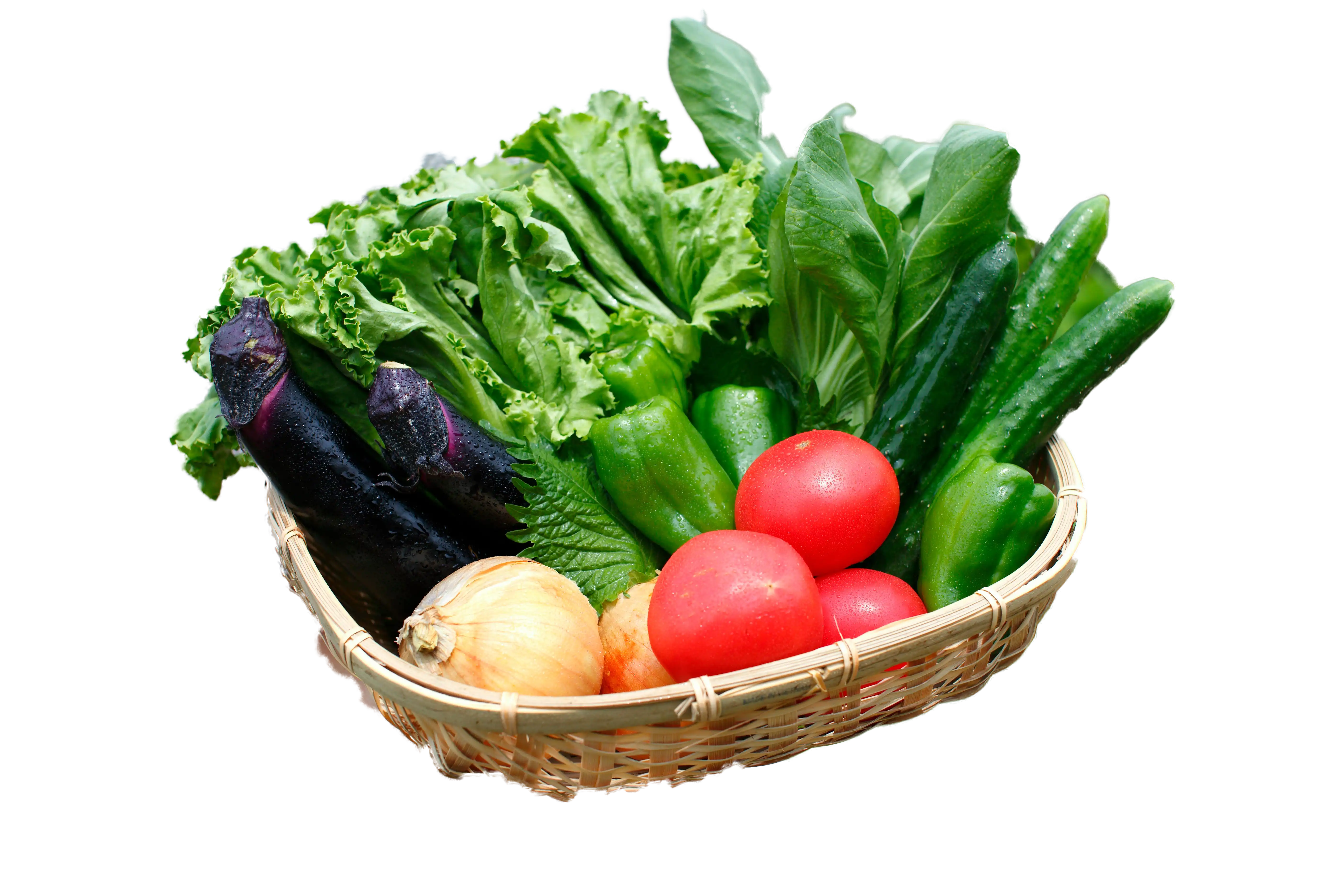 べジックスのお試しセット